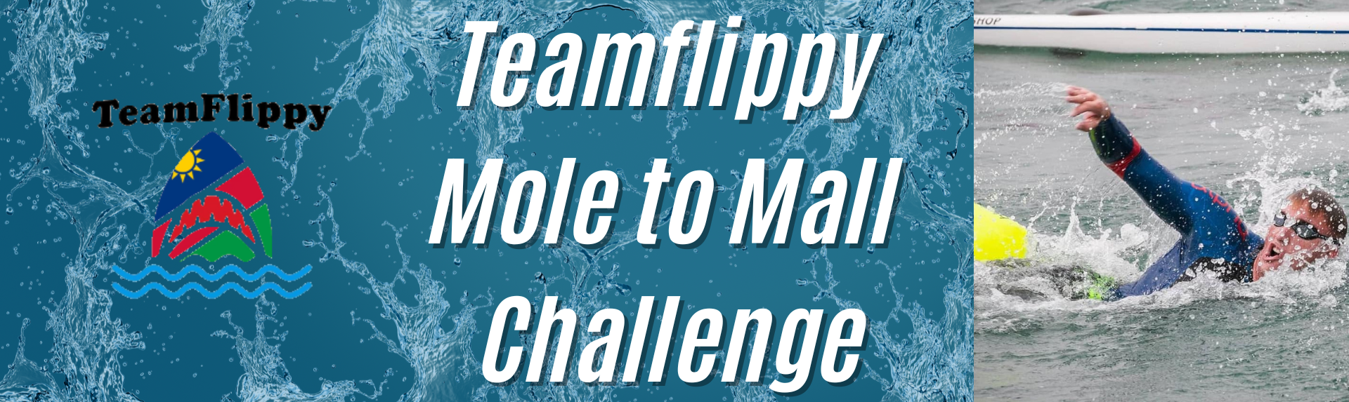 Mole to Mall Challenge